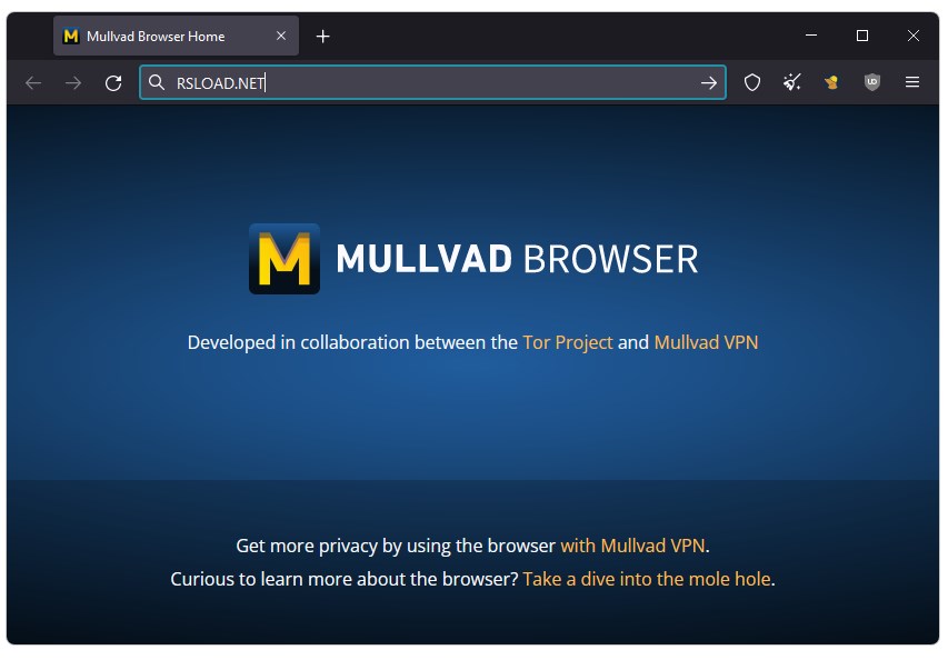 Mullvad Browser   